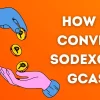 How to Convert Sodexo to GCash?