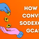 How to Convert Sodexo to GCash?