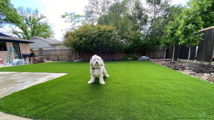 artificial grass