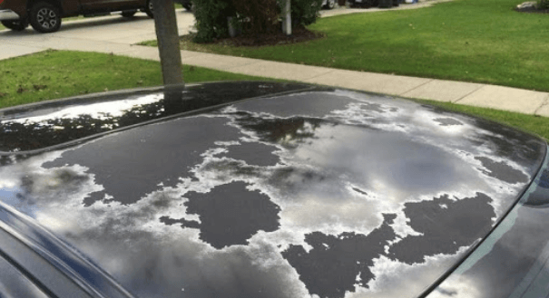 repair car clear coat damage