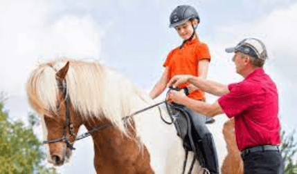 Riding High: A Comprehensive Guide to the Equestrian World