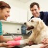 Top Tips For Choosing The Right General Veterinarian For Your Furry Friend